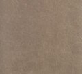 Legacy, Taupe